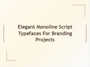 Premium Elegant Monoline Script Typefaces for Branding Projects